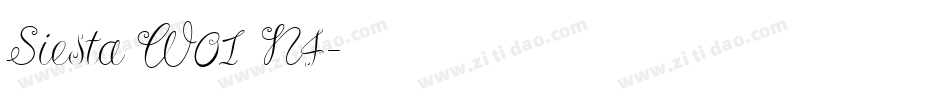 Siesta W01 N4字体转换